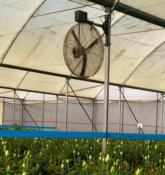 Agricultural Greenhouse Fans