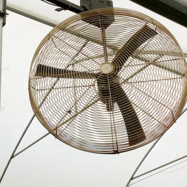 Agricultural Green House Fans